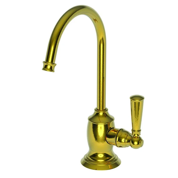 Cold Water Dispenser Jacobean 1 Lever ADA Gooseneck Polished Brass Uncoated Living